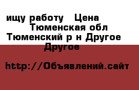 ищу работу › Цена ­ 10 000 - Тюменская обл., Тюменский р-н Другое » Другое   